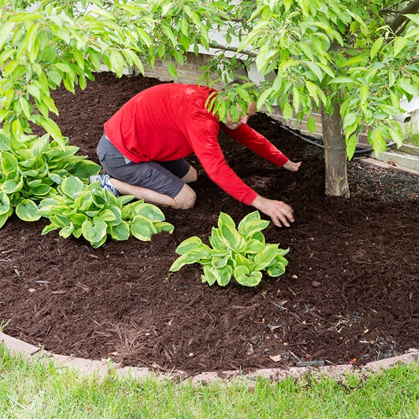 we can provide references for our previous mulch installation projects upon request